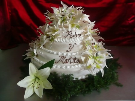 Más diseños favor de visitarnos en nuestro domicilio